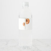 Fall Minimalistische Pumpkin Baby Dusche Flasche E Wasserflaschenetikett (Rückseite)