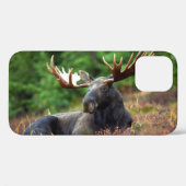 Fall Moose iPhone 12 Case-Mate iPhone Hülle (Rückseite (Horizontal))