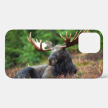 Fall Moose iPhone 12