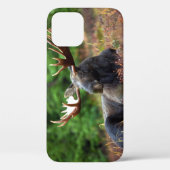 Fall Moose iPhone 12 Case-Mate iPhone Hülle (Rückseite)