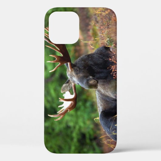 Fall Moose iPhone 12 Case-Mate iPhone Hülle (Rückseite)