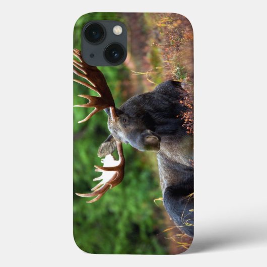 Fall Moose iPhone 13 Case-Mate iPhone Hülle (Rückseite)