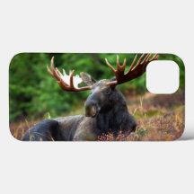 Fall Moose iPhone 13