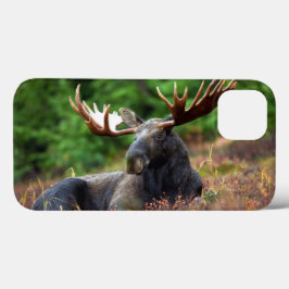 Fall Moose iPhone 13 Case-Mate iPhone Hülle