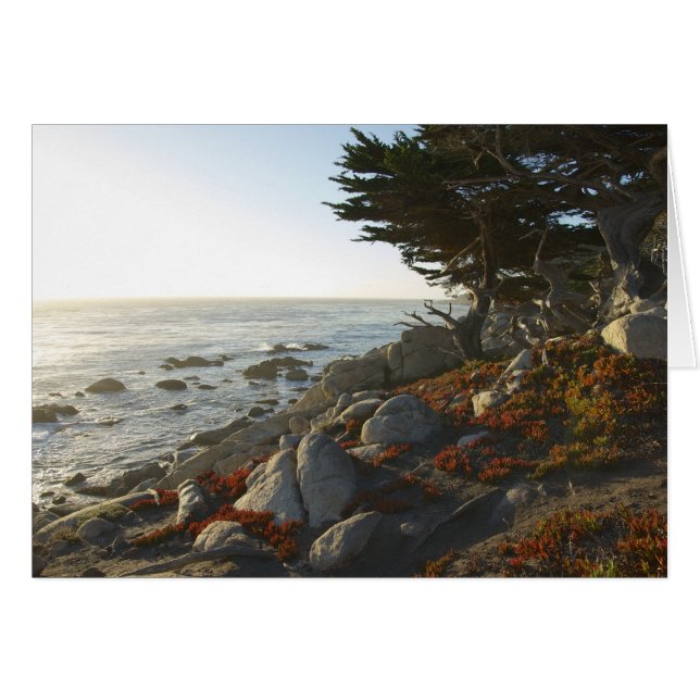 Fall-Nachmittag auf dem Pazifik (Vorderseite (Horizontal))