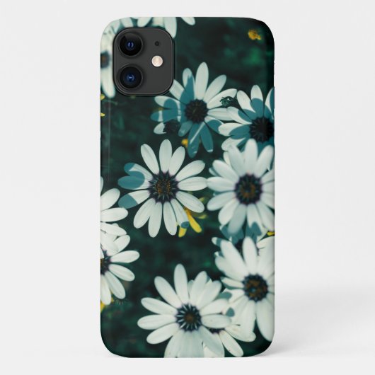 Fall Namaqualand Blume iPhone 11 Case-Mate iPhone Hülle (Rückseite)