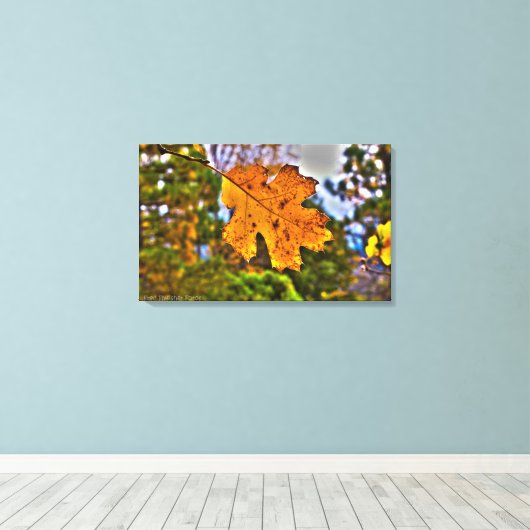 Fall Oak Leaf HDR. Leinwanddruck (Insitu (Holzboden))