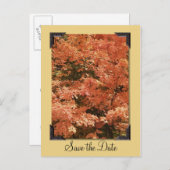 Fall Orange Blätter Hochzeitssache Datum speichern Ankündigungspostkarte (Vorne/Hinten)