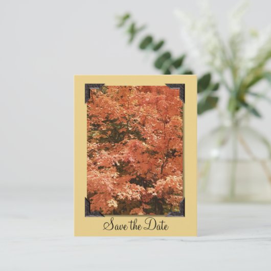 Fall Orange Blätter Hochzeitssache Datum speichern Ankündigungspostkarte (Stehend Vorderseite)
