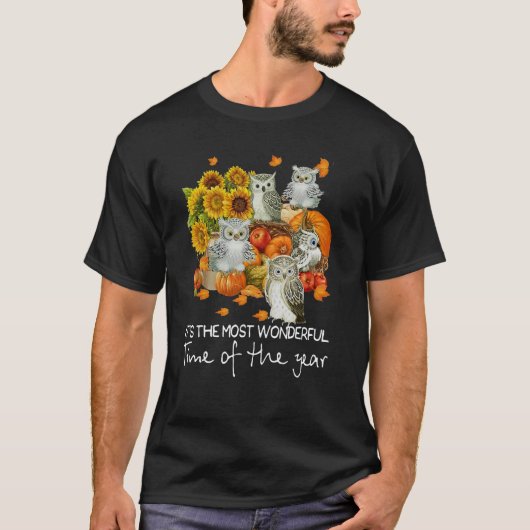Fall Owl Pumpkin Itu2019s Die wunderbarste Zeit T-Shirt (Vorderseite)