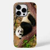 Fall Panda Bear Case-Mate iPhone Hülle (Rückseite)