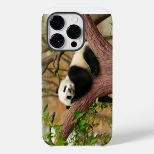 Fall Panda Bear Case-Mate iPhone 14 Pro Hülle