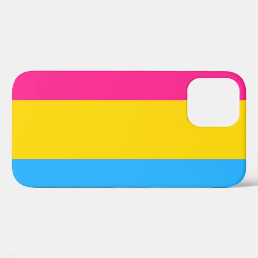 Fall Pansexual Flag iPhone 12 Case-Mate iPhone Hülle (Rückseite (Horizontal))