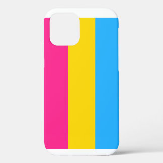Fall Pansexual Flag iPhone 12 Hülle