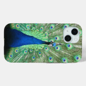 Fall: Peacock Case-Mate iPhone Hülle (Rückseite (Horizontal))