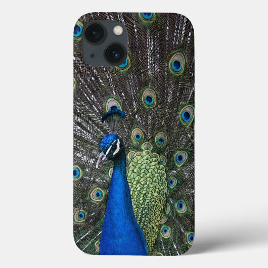 Fall Peacock iPad Case-Mate iPhone Hülle (Rückseite)
