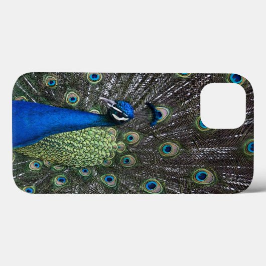 Fall Peacock iPad Case-Mate iPhone Hülle (Rückseite (Horizontal))