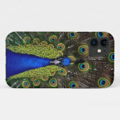 Fall Peacock iPhone5 Case-Mate iPhone Hülle (Rückseite (Horizontal))