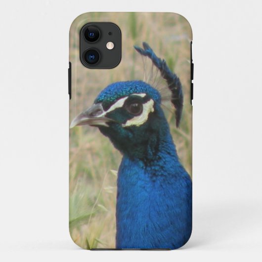 Fall Peacock iPhone 5 Case-Mate iPhone Hülle (Rückseite)