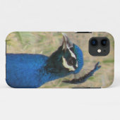 Fall Peacock iPhone 5 Case-Mate iPhone Hülle (Rückseite (Horizontal))