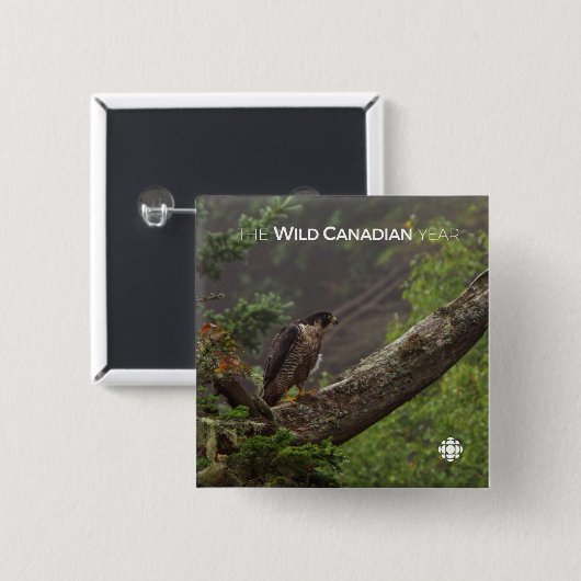 Fall - Peregrine Falcon Button (Vorne & Hinten)