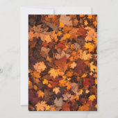 FALL-PFERDE-111315 FALL-AUTUMN FARBEN WIEDER (Vorderseite)