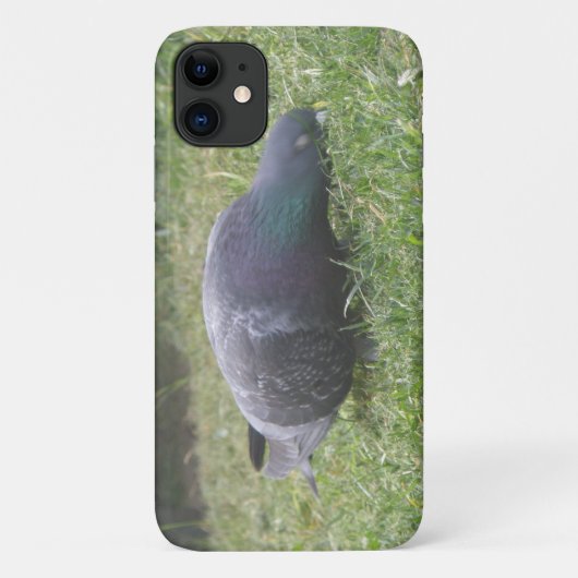 Fall "Pigeon iPhone 3" Case-Mate iPhone Hülle (Rückseite)