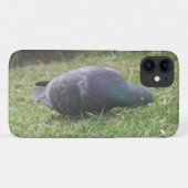 Fall "Pigeon iPhone 3" Case-Mate iPhone Hülle (Rückseite (Horizontal))