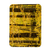 Fall Pisgah National Forest Magnet (Vertikal)