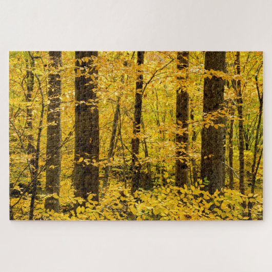 Fall Pisgah National Forest Puzzle (Horizontal)