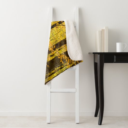 Fall Pisgah National Forest Sherpadecke (Beispiel)