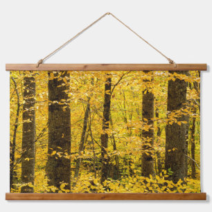 Fall Pisgah National Forest Wandteppich Mit Holzrahmen