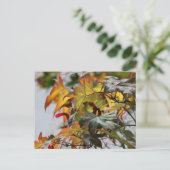 Fall Postkarte (Stehend Vorderseite)