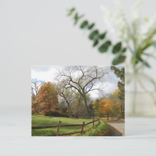Fall Postkarte (Stehend Vorderseite)