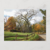 Fall Postkarte (Vorderseite)