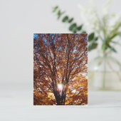 Fall Postkarte (Stehend Vorderseite)