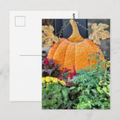 Fall Postkarte (Vorne/Hinten)