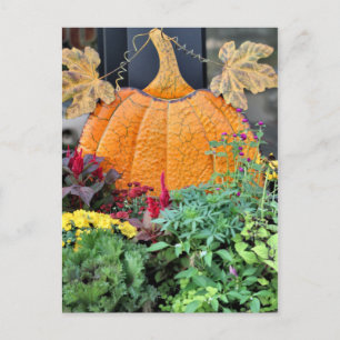 Fall Postkarte