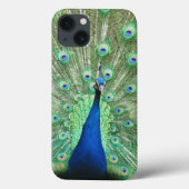 Fall: Proud Peacock Case-Mate iPhone Hülle (Rückseite)