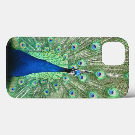 Fall: Proud Peacock Case-Mate iPhone Hülle (Rückseite (Horizontal))