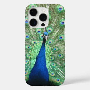 Fall: Proud PfauP iPhone 16 Pro Hülle