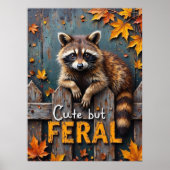 Fall Prowler: Raccoon auf Wetterzaun Poster (Vorne)
