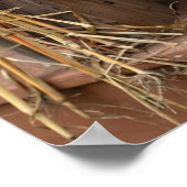 Fall Pumpkin on Porch Poster (Ecke)