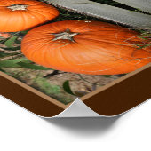 Fall Pumpkin Pair Mirror Abstrakt Poster (Ecke)