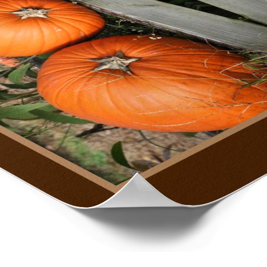 Fall Pumpkin Pair Mirror Abstrakt Poster (Ecke)