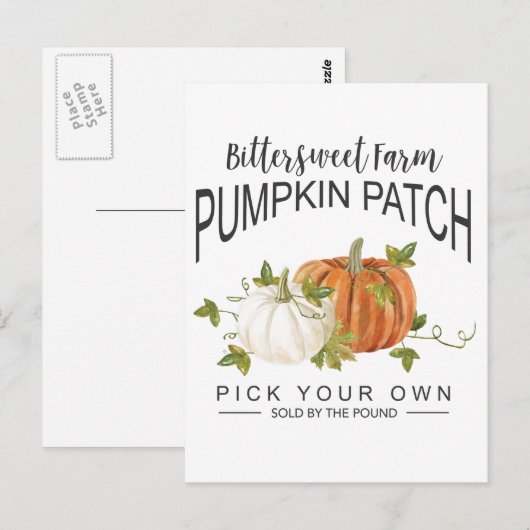 FALL PUMPKIN PATCH POSTKARTE (Vorne/Hinten)