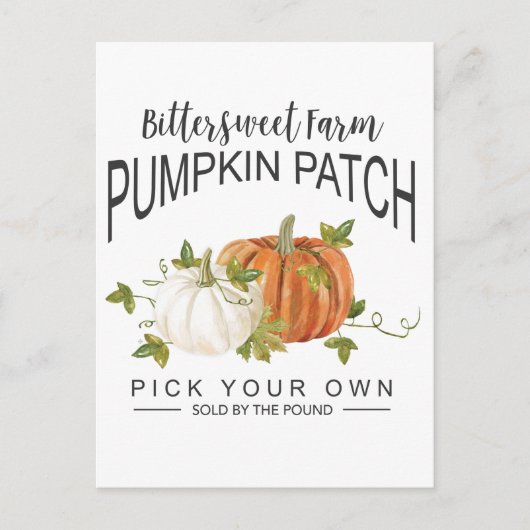 FALL PUMPKIN PATCH POSTKARTE (Vorderseite)