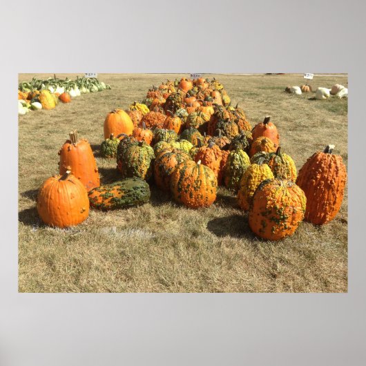 Fall Pumpkin Sale Poster (Vorne)
