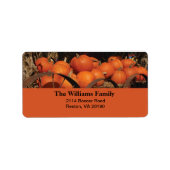 Fall Pumpkins Adressaufkleber (Vorne)