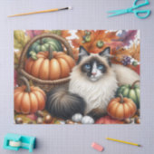 Fall Pumpkins Herbst Leaves Ragdoll Cat Seidenpapier (Basteln)